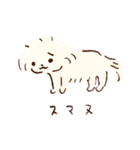 のんびり犬ももちゃん（個別スタンプ：8）