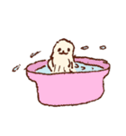 のんびり犬ももちゃん（個別スタンプ：13）