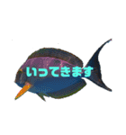 ウチナー釣り人の日常スタンプ（個別スタンプ：3）