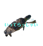 ウチナー釣り人の日常スタンプ（個別スタンプ：4）
