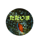 ウチナー釣り人の日常スタンプ（個別スタンプ：5）