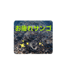 ウチナー釣り人の日常スタンプ（個別スタンプ：7）