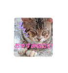 ウチナー釣り人の日常スタンプ（個別スタンプ：9）