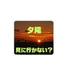 ウチナー釣り人の日常スタンプ（個別スタンプ：13）