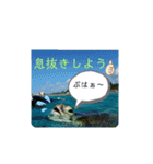 ウチナー釣り人の日常スタンプ（個別スタンプ：20）