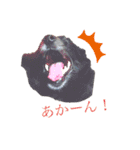 日常で使える関西風わんこ（個別スタンプ：8）