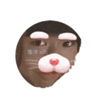 たけるのにちじょう（個別スタンプ：2）
