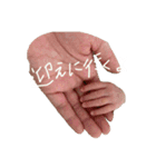 菜希ちゃんスタンプ☀︎②（個別スタンプ：31）