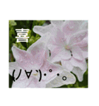 お花はいかがですか？（個別スタンプ：2）