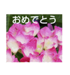 お花はいかがですか？（個別スタンプ：3）