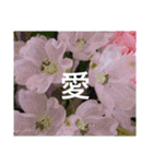 お花はいかがですか？（個別スタンプ：10）