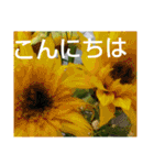 お花はいかがですか？（個別スタンプ：13）