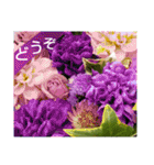 お花はいかがですか？（個別スタンプ：15）