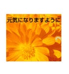お花はいかがですか？（個別スタンプ：18）