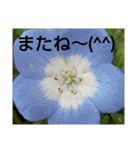 お花はいかがですか？（個別スタンプ：19）