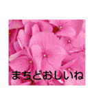 お花はいかがですか？（個別スタンプ：21）