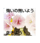 お花はいかがですか？（個別スタンプ：22）