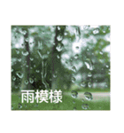 お花はいかがですか？（個別スタンプ：23）