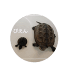 なのの飼育BOX（個別スタンプ：4）