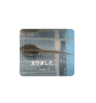 なのの飼育BOX（個別スタンプ：6）