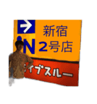 コヘちゃん2（個別スタンプ：15）