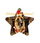 Cool Duke the GSD (2)（個別スタンプ：7）