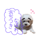 ポップさんの日常（個別スタンプ：2）