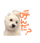ポップさんの日常（個別スタンプ：7）