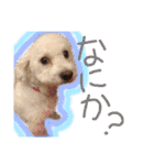 ポップさんの日常（個別スタンプ：10）