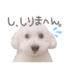 ポップさんの日常（個別スタンプ：14）