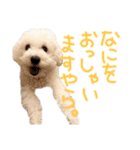 ポップさんの日常（個別スタンプ：17）
