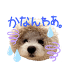 ポップさんの日常（個別スタンプ：18）