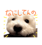 ポップさんの日常（個別スタンプ：20）
