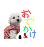 ポップさんの日常（個別スタンプ：21）