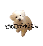 ポップさんの日常（個別スタンプ：22）