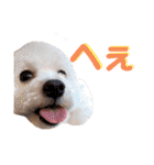 ポップさんの日常（個別スタンプ：24）