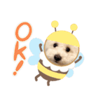 ポップさんの日常（個別スタンプ：26）