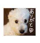 ポップさんの日常（個別スタンプ：27）