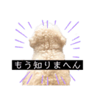ポップさんの日常（個別スタンプ：30）