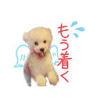 ポップさんの日常（個別スタンプ：33）