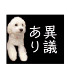 ポップさんの日常（個別スタンプ：37）