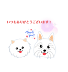 白犬のポム＆シルク2（個別スタンプ：1）