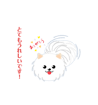 白犬のポム＆シルク2（個別スタンプ：2）
