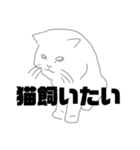 毎日使える かわいいスタンプ（個別スタンプ：12）