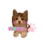 おうちゃん★ララちゃん 猫（日常会話）②（個別スタンプ：6）