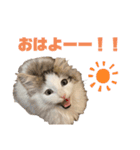 垂れ目王子ほたての日常①（個別スタンプ：4）