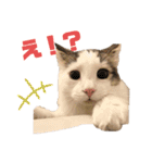 垂れ目王子ほたての日常①（個別スタンプ：23）