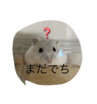 ふくみスタンプ☆☆（個別スタンプ：2）