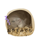 ふくみスタンプ☆☆（個別スタンプ：3）