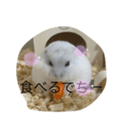 ふくみスタンプ☆☆（個別スタンプ：4）